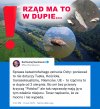 Darli by mordy jak by to było z Czajki i dało się zrzucić na R.T.!!!