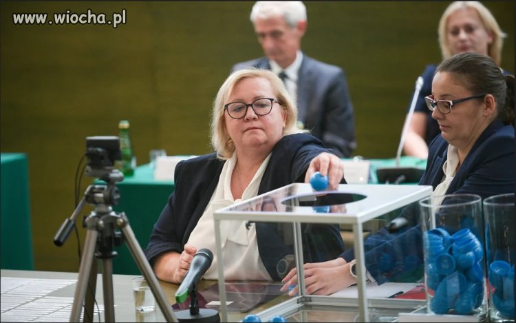 Sędziolotek