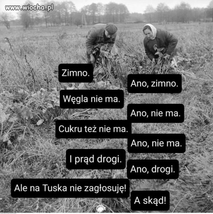 Polska marzeń Kaczyńskiego