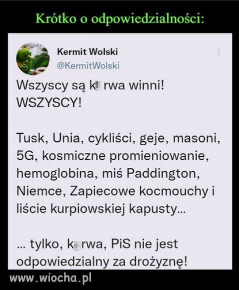 Za głupotę, nieudolność i złodziejstwo PiSu, winni są inni...