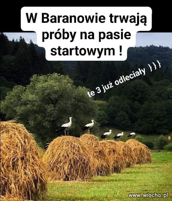 Oby zabrały ze sobą kretynów z PiS 