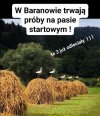 Oby zabrały ze sobą kretynów z PiS 