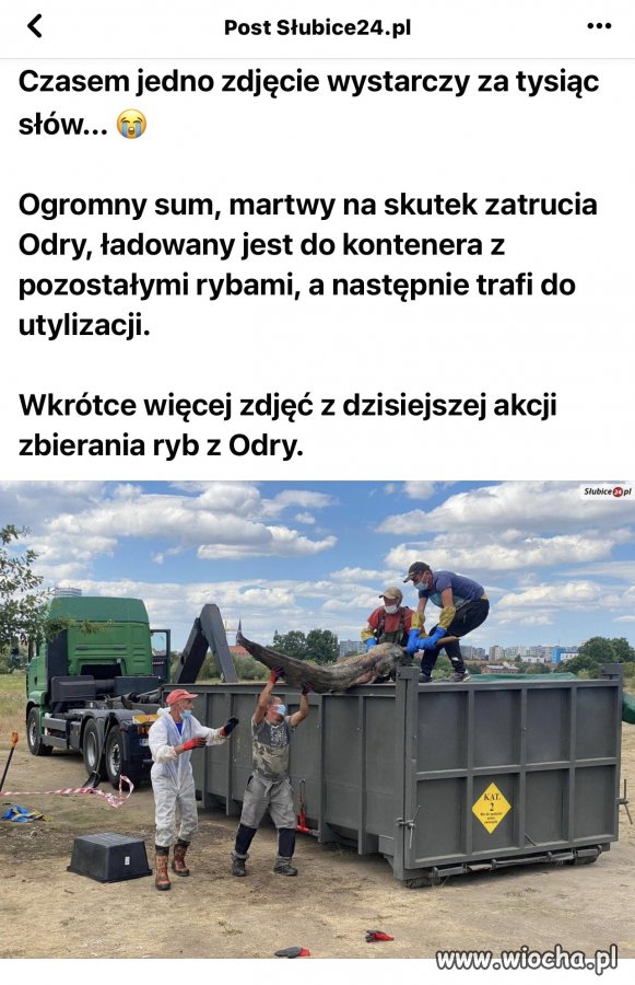 Nie da sie tego 