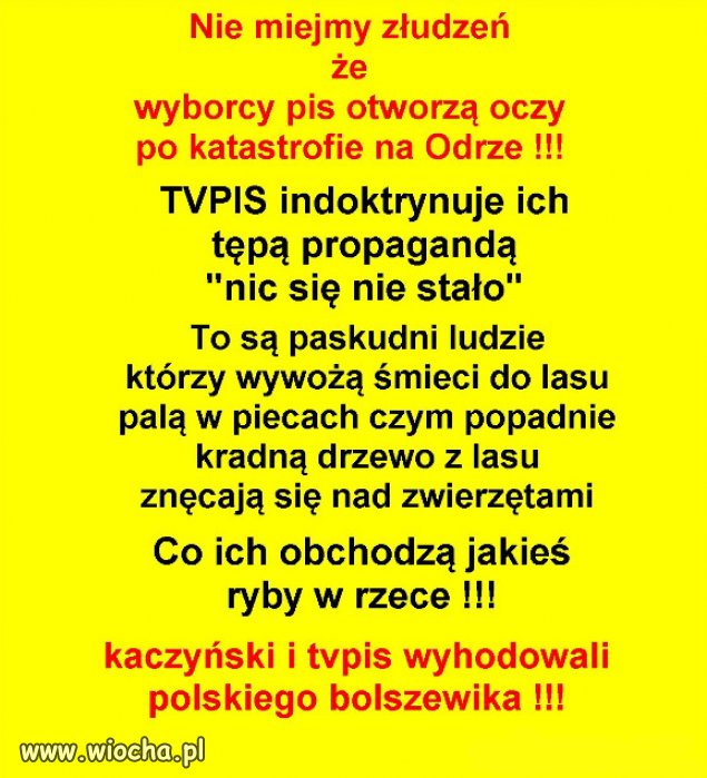 Holota wybrala holote do wladzy i teraz rzadza Polska!