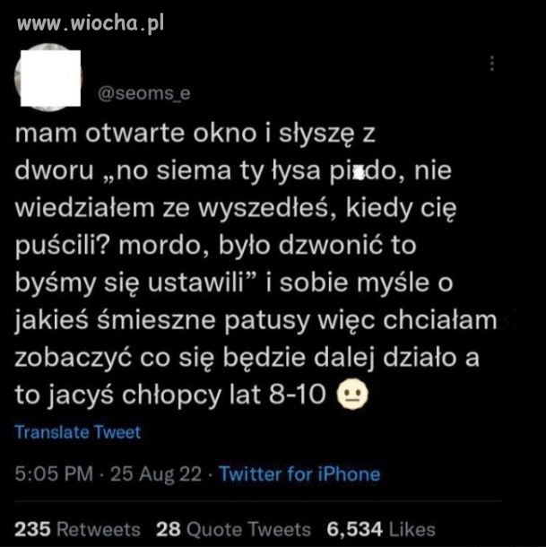 Patusy