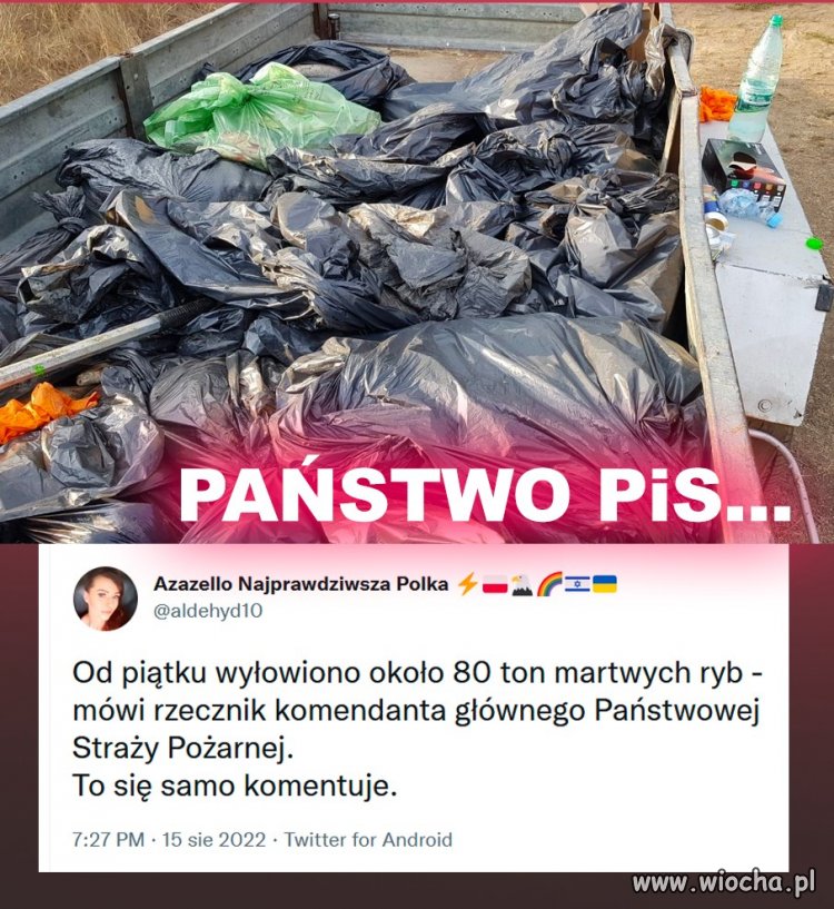 To obraz nędzy I rozpaczy