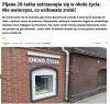 Można oddać nawet pełnoletnie dziecko?