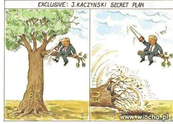 Genialny plan Jarka