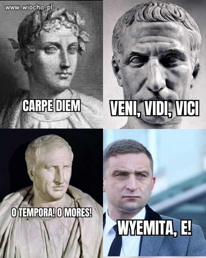 Mędrzec PiS 