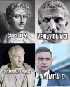 Mędrzec PiS 