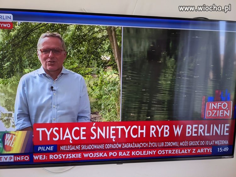 To już wiadomo skąd się wzięły w Odrze