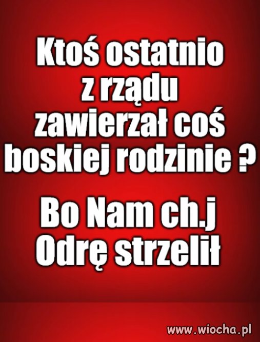 Kolega pytał