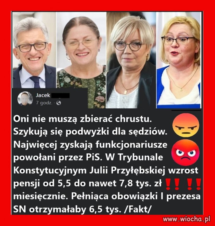 Oni nie muszą zbierać chrustu