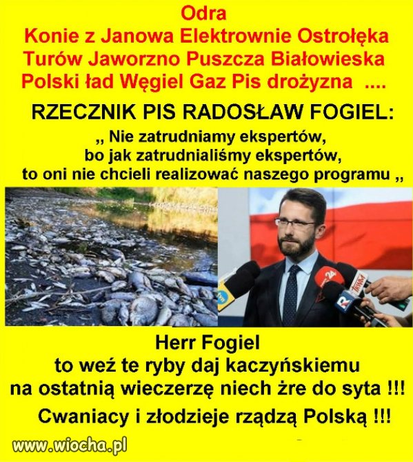 PiS nie zatrudnia ekspertów, tylko miernych, ale wiernych...