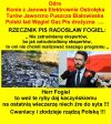 PiS nie zatrudnia ekspertów, tylko miernych, ale wiernych...