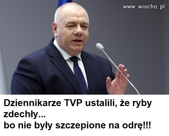 Wiadomości z pierwszej ręki