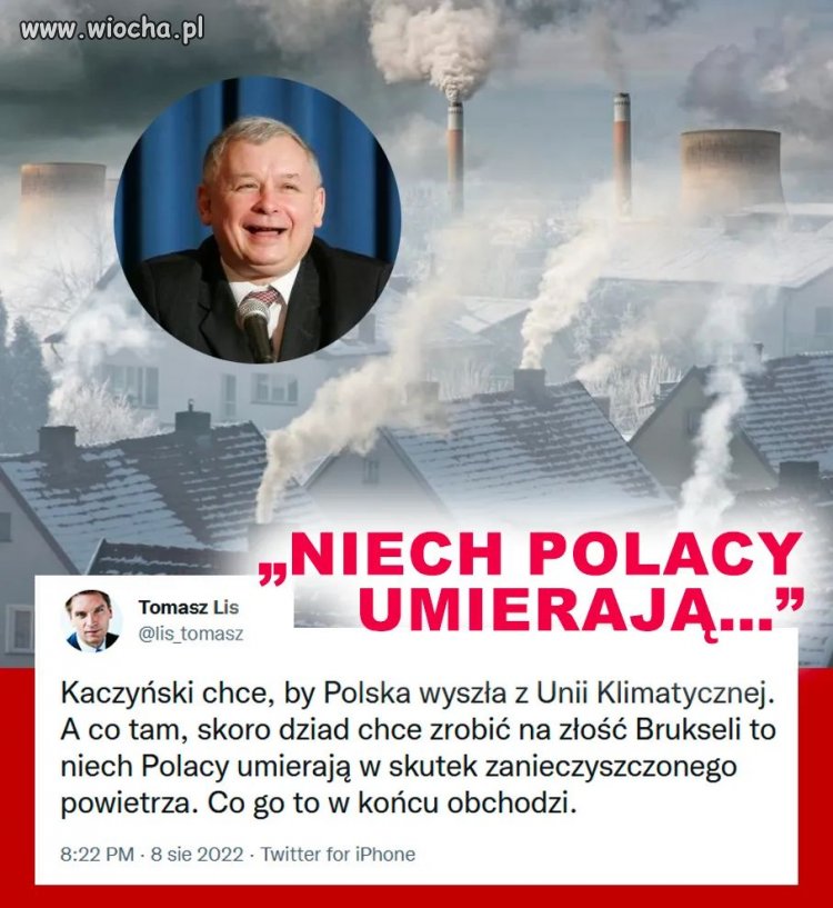 Szalony kaczor