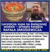 Katolicy to jednak idioci 