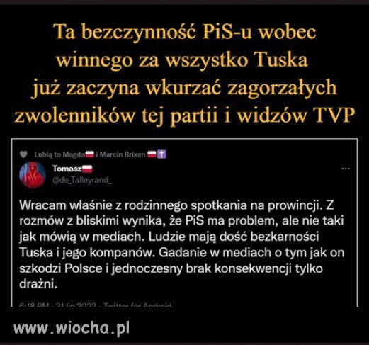 Ten Tusk niszczy Polske a PiS nic nie robi...skandal!