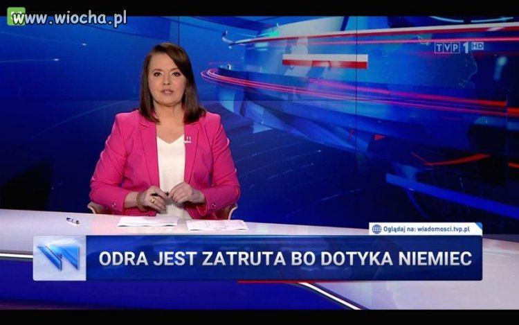 Pisowskie wyjaśnienia