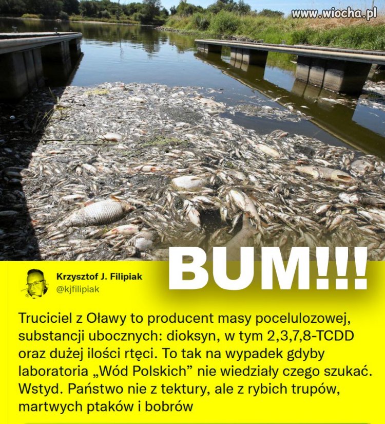 Skandal, żeby nie zwykli obywatele to rząd by dalej ukrywał to skażenie środowiska