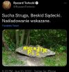 Zbezczeszczenie kamienia