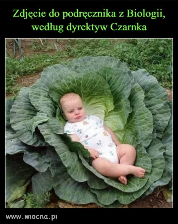 Przecież dzieci bocian przynosi...