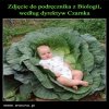 Przecież dzieci bocian przynosi...