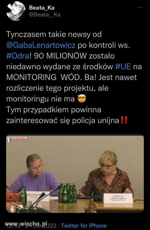 Pis złodziejska banda