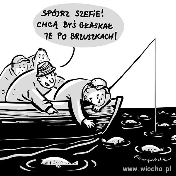 Pogłaskać