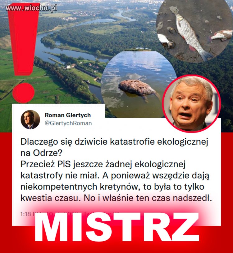 Czego się nie dotkną to spie...lą!