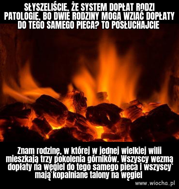 Tak się żyje 