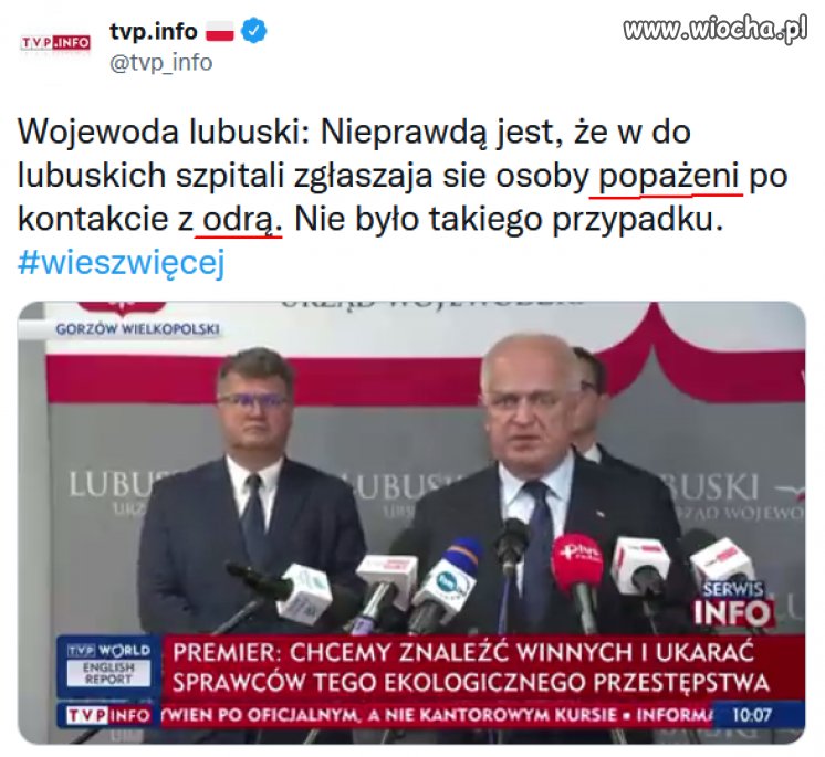 Prawdziwi Polacy w PiSmediach   