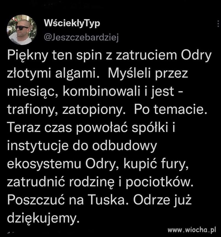 Złote algi 