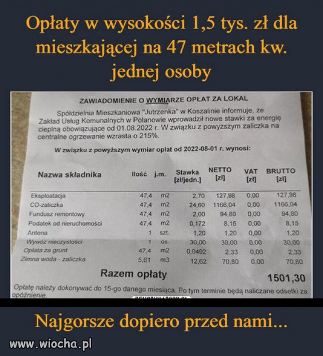 PiS oszalało! To „efekt Kaczyńskiego”...