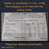 PiS oszalało! To „efekt Kaczyńskiego”...