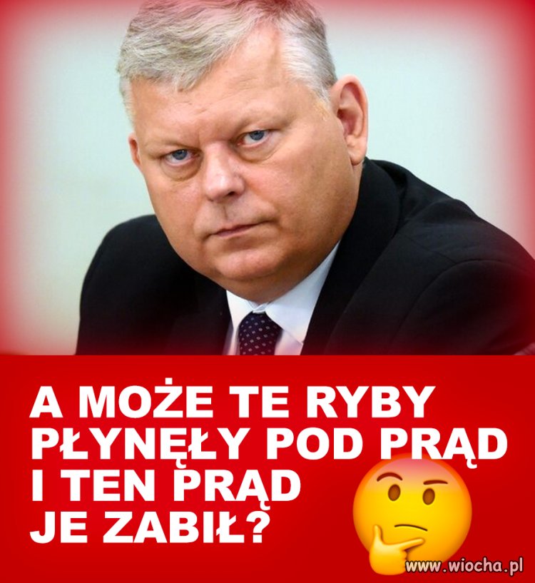 Przemyślenia pisowskiego idioty