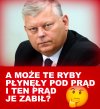 Przemyślenia pisowskiego idioty