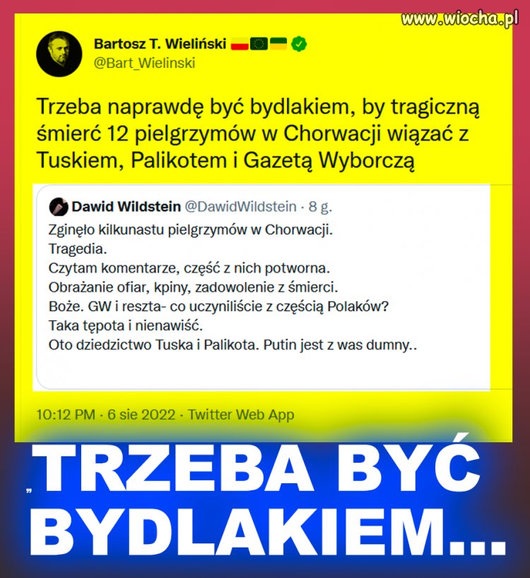 Wildstein to dno dna, jego nawet leczyć nie warto.