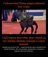 Rosjanie wy nawet dobrze oszukiwać nie potraficie