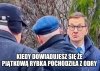 Nawet łowić nie trzeba