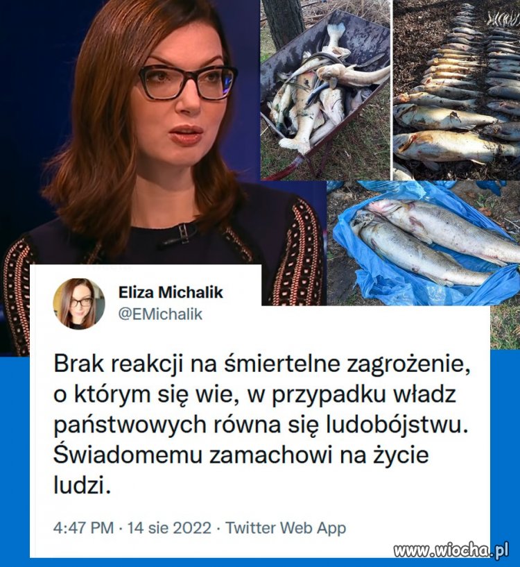Brak reakcji 