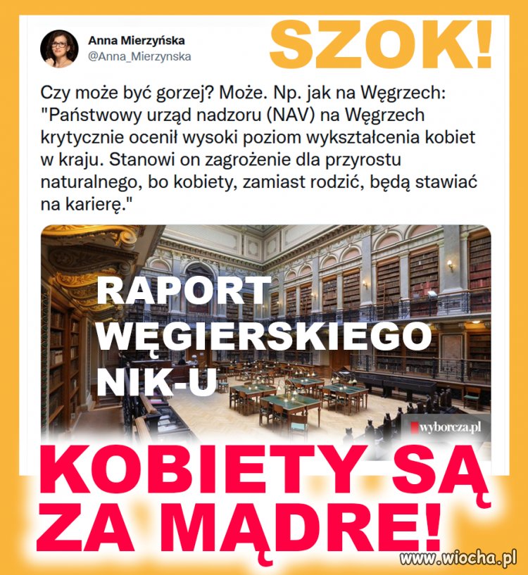 Raport węgierskiego NIK-u: