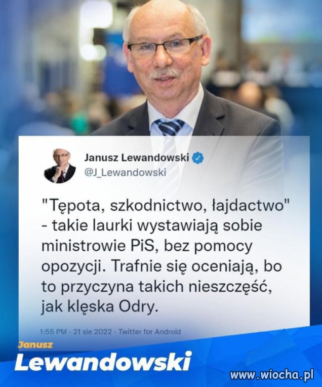 Trafnie się oceniają 