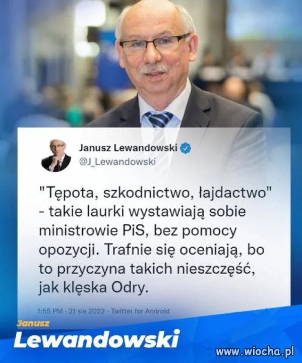 Trafnie się oceniają 