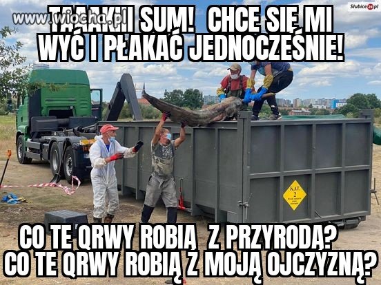 Brak po prostu słów tylko wsciekłość!