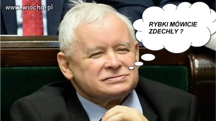 Jakiś problem
