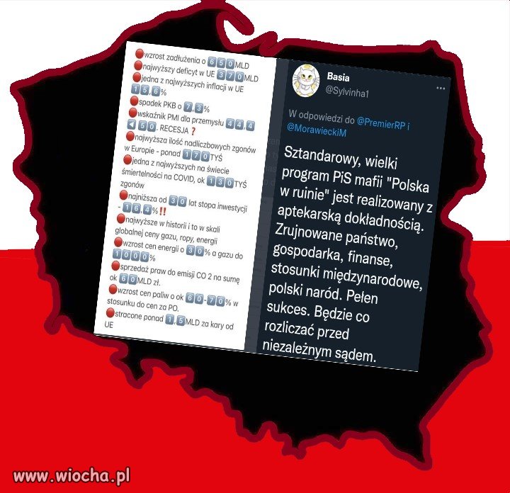 Sztandarowy program PIS   