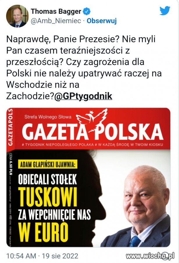 Jaszczomb błysł