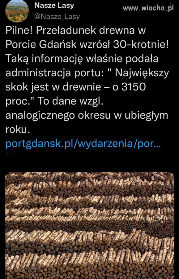 Zachowują się tak jak barbarzyńcy którzy